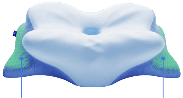 Derila Ergo Memory Foam Kissen in ergonomischer Schmetterlingsform gegen Nackenschmerzen